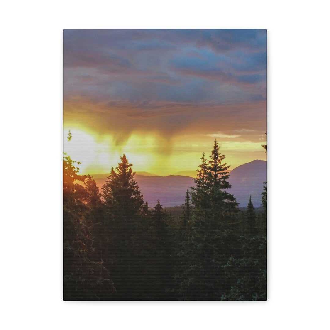 Rainy Sunset Through the Trees - Canvas