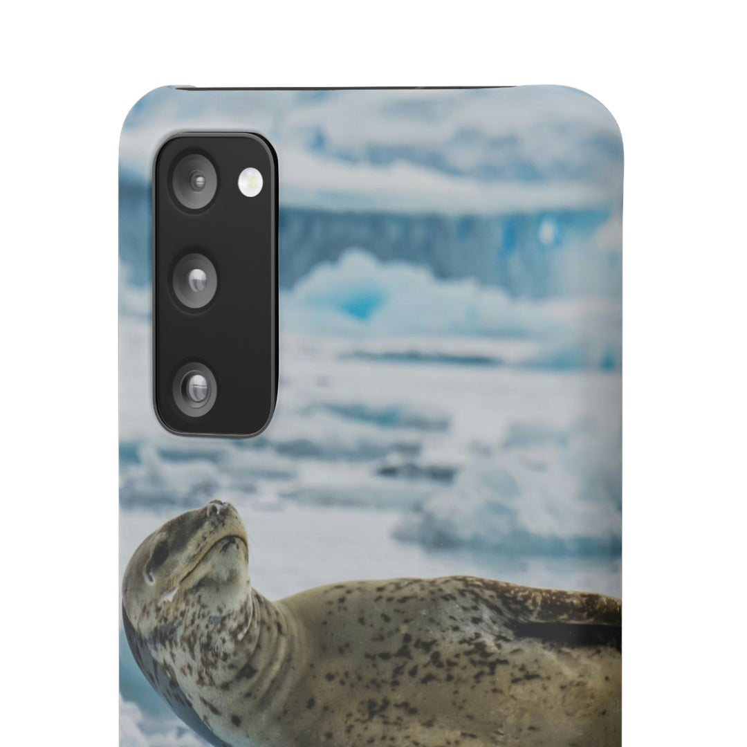 Leopard Seal Relaxing - Phone Case