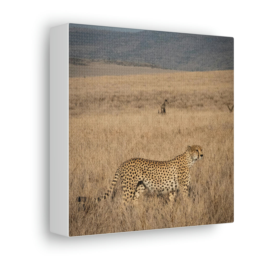 Regal Camouflage - Canvas