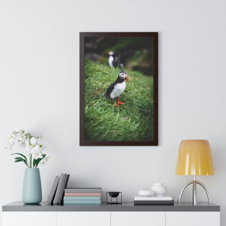 Curious Eye - Framed Print - Visiting This World