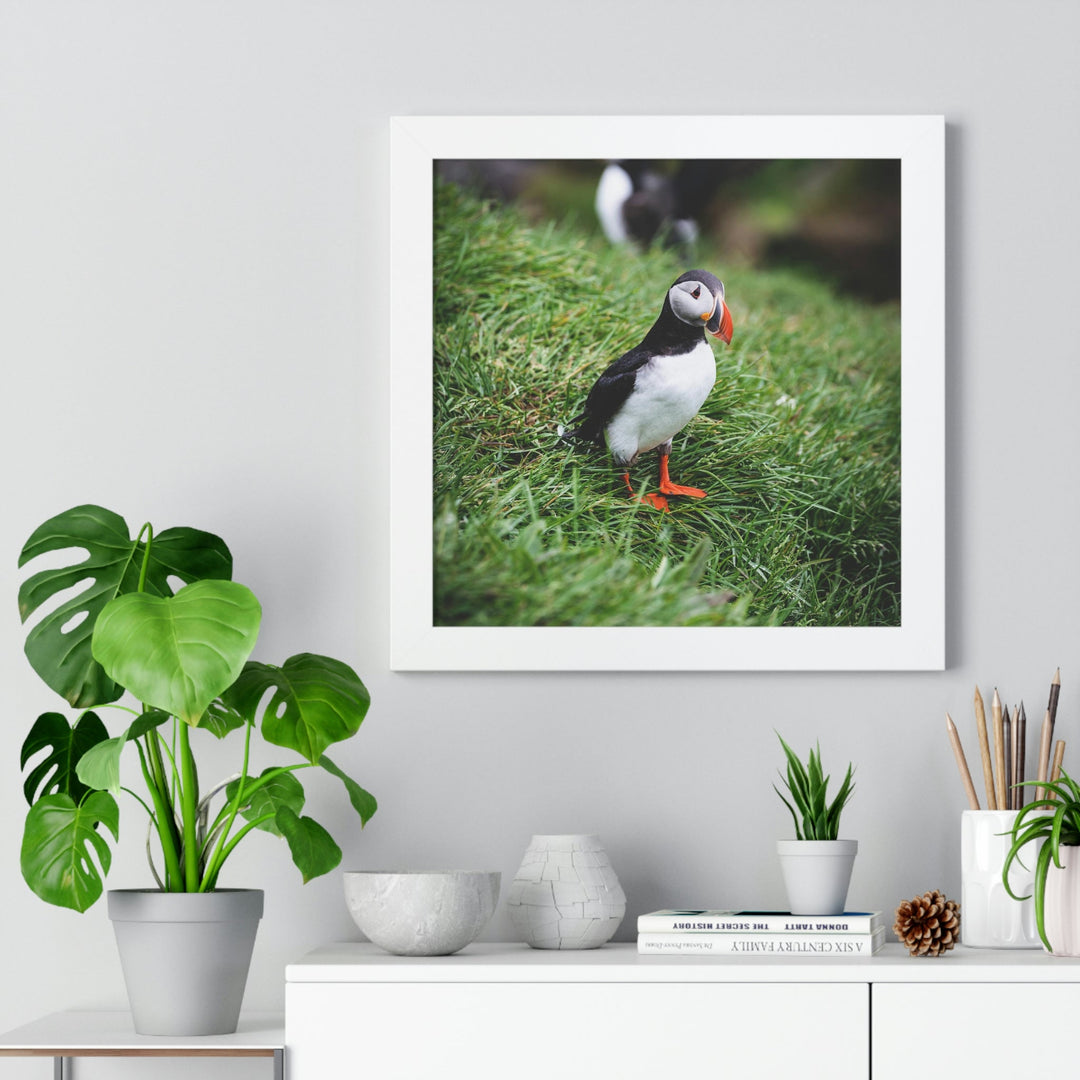 Curious Eye - Framed Print - Visiting This World