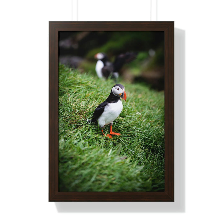 Curious Eye - Framed Print - Visiting This World