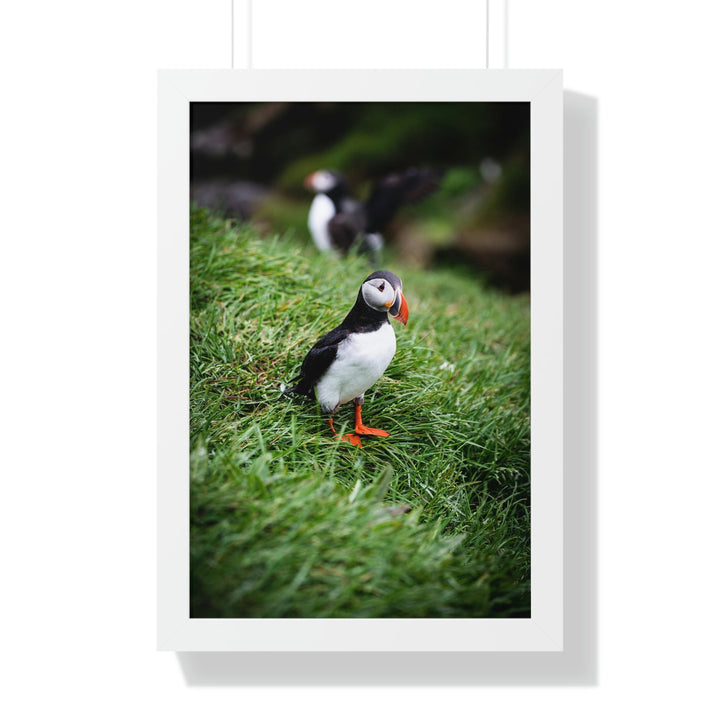 Curious Eye - Framed Print - Visiting This World