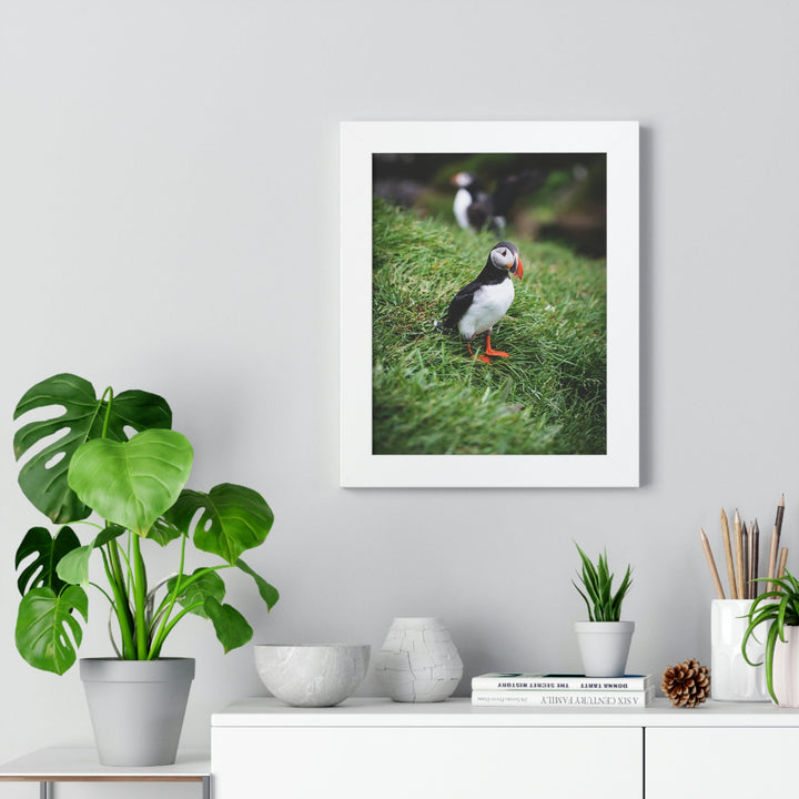 Curious Eye - Framed Print - Visiting This World