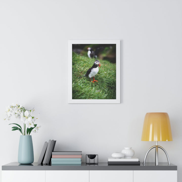 Curious Eye - Framed Print - Visiting This World