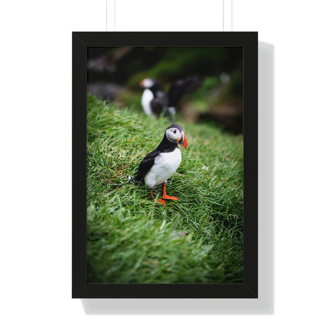 Curious Eye - Framed Print - Visiting This World