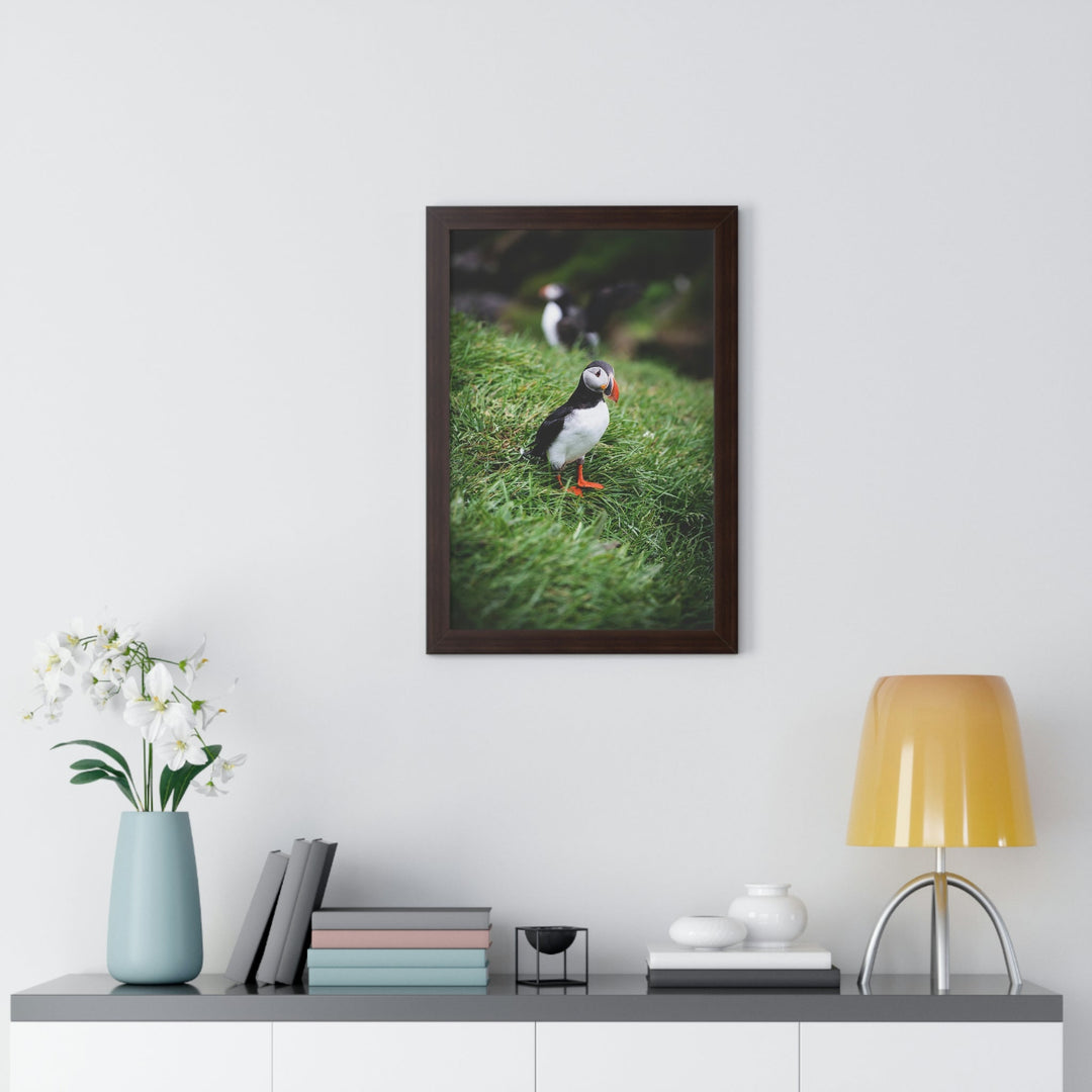 Curious Eye - Framed Print - Visiting This World