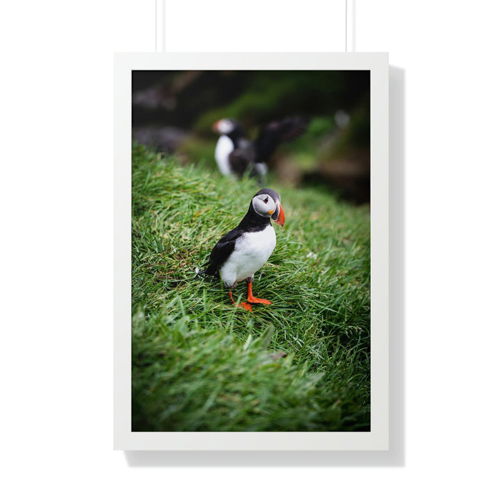 Curious Eye - Framed Print - Visiting This World