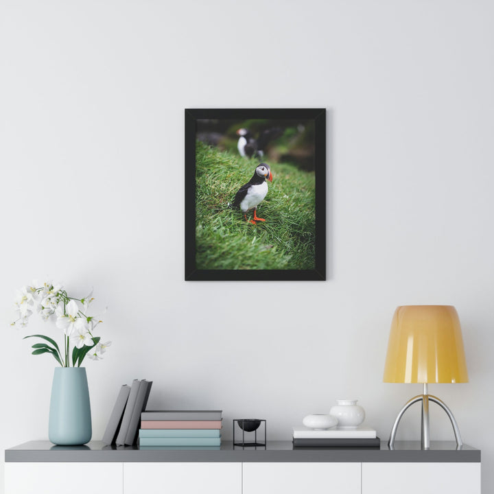 Curious Eye - Framed Print - Visiting This World