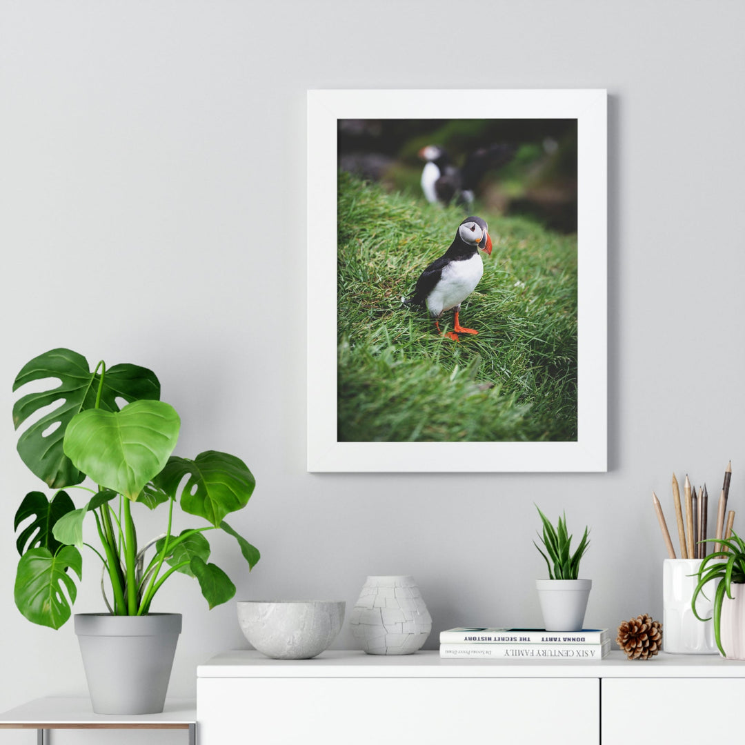 Curious Eye - Framed Print - Visiting This World