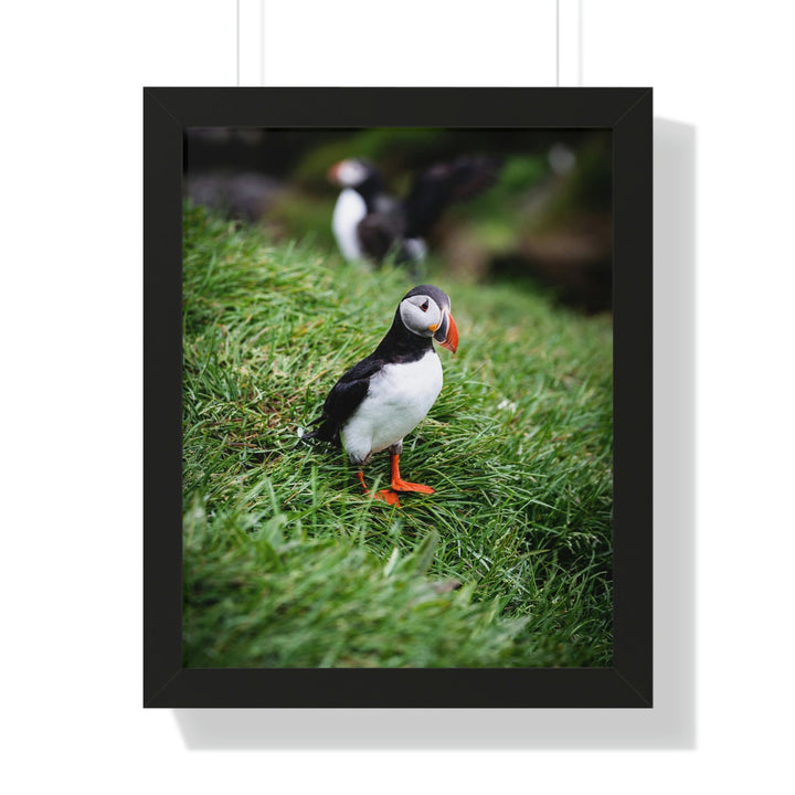 Curious Eye - Framed Print - Visiting This World