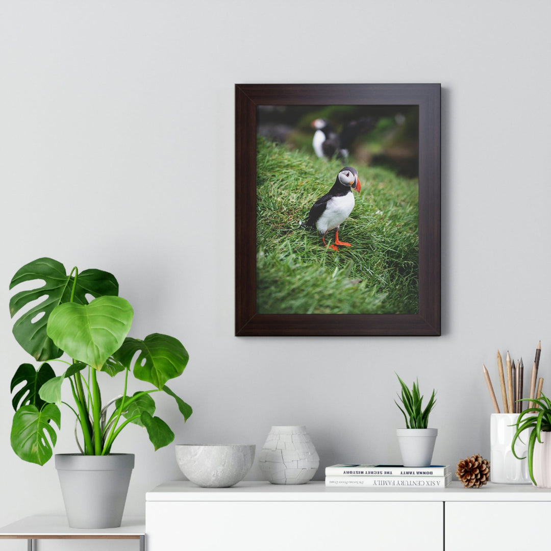 Curious Eye - Framed Print - Visiting This World