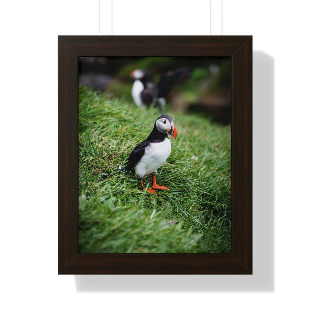 Curious Eye - Framed Print - Visiting This World