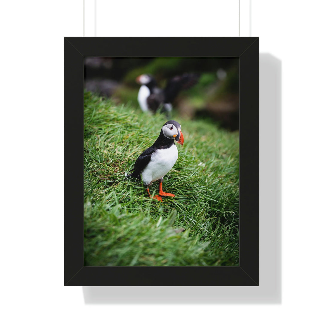 Curious Eye - Framed Print - Visiting This World