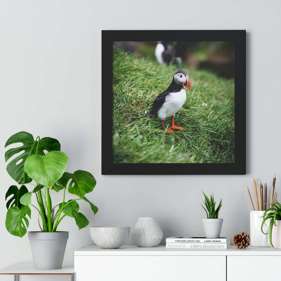 Curious Eye - Framed Print - Visiting This World