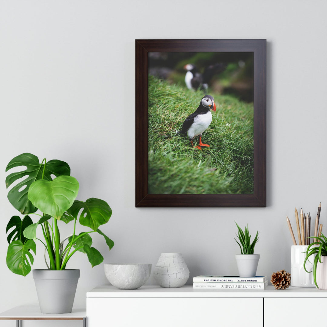 Curious Eye - Framed Print - Visiting This World