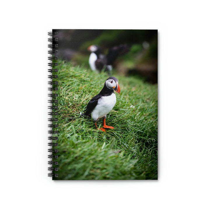 Curious Eye - Spiral Ruled Line Notebook - Visiting This World