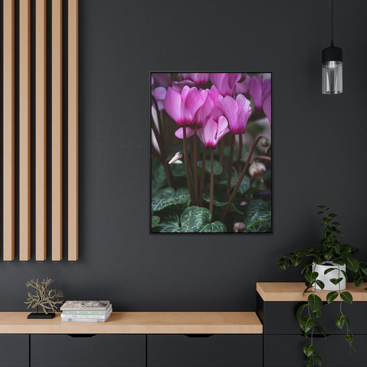 Cyclamen Reach - Canvas with Frame - Visiting This World