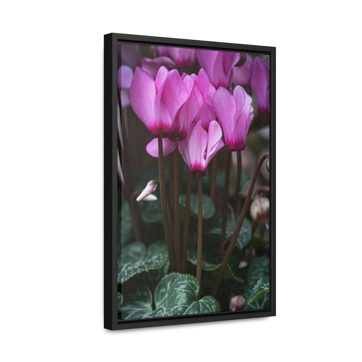 Cyclamen Reach - Canvas with Frame - Visiting This World