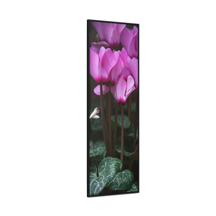 Cyclamen Reach - Canvas with Frame - Visiting This World