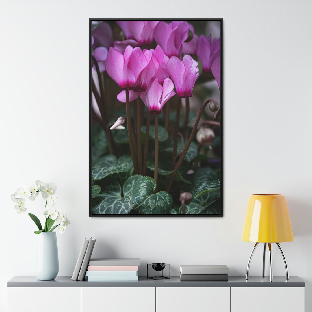 Cyclamen Reach - Canvas with Frame - Visiting This World