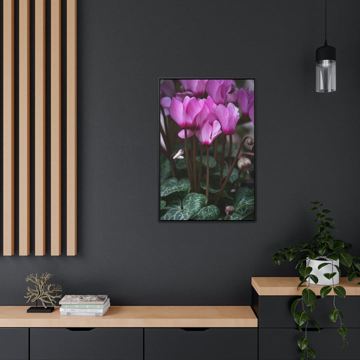 Cyclamen Reach - Canvas with Frame - Visiting This World