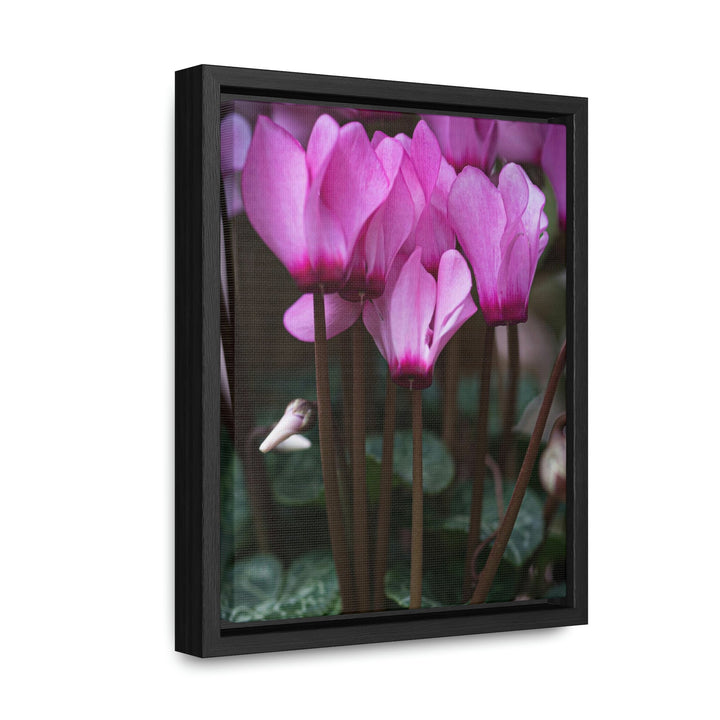 Cyclamen Reach - Canvas with Frame - Visiting This World