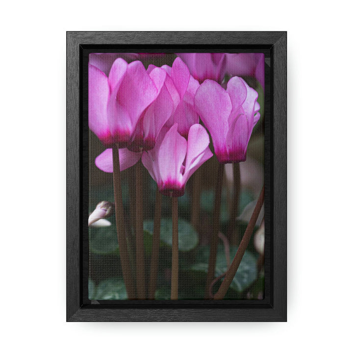 Cyclamen Reach - Canvas with Frame - Visiting This World