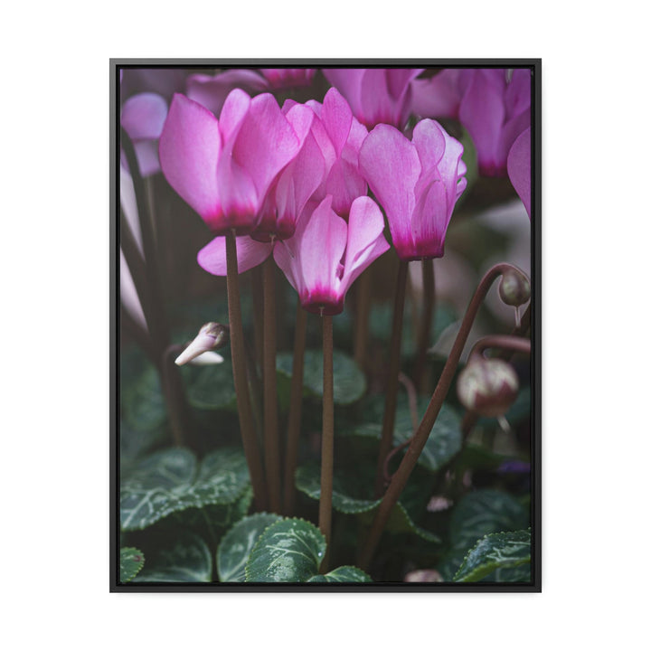 Cyclamen Reach - Canvas with Frame - Visiting This World