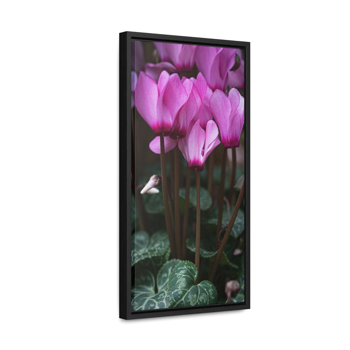 Cyclamen Reach - Canvas with Frame - Visiting This World