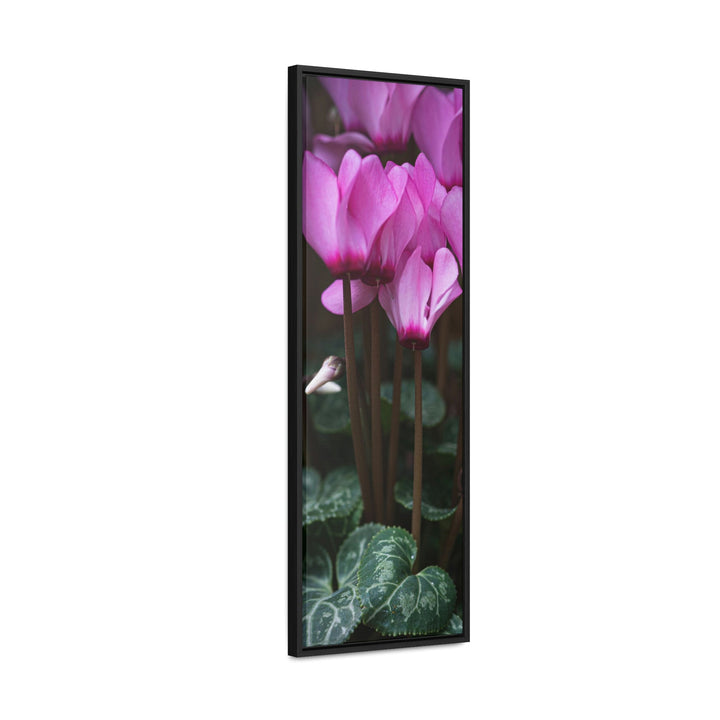 Cyclamen Reach - Canvas with Frame - Visiting This World