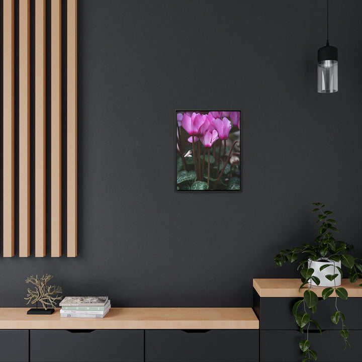 Cyclamen Reach - Canvas with Frame - Visiting This World