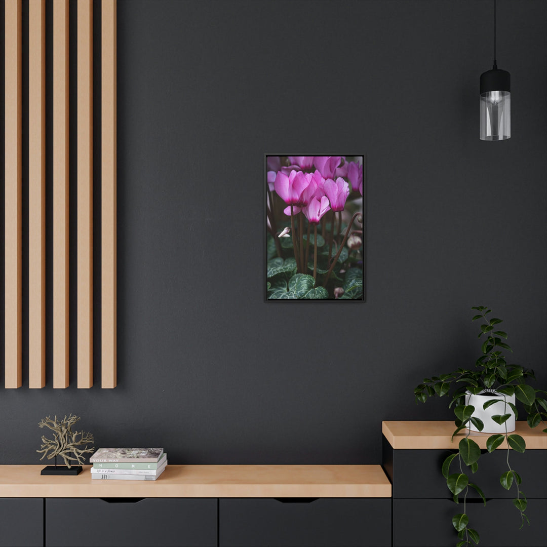 Cyclamen Reach - Canvas with Frame - Visiting This World