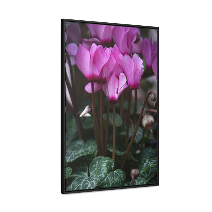 Cyclamen Reach - Canvas with Frame - Visiting This World