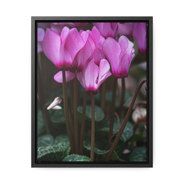 Cyclamen Reach - Canvas with Frame - Visiting This World