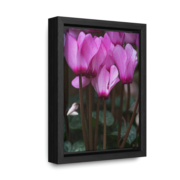 Cyclamen Reach - Canvas with Frame - Visiting This World