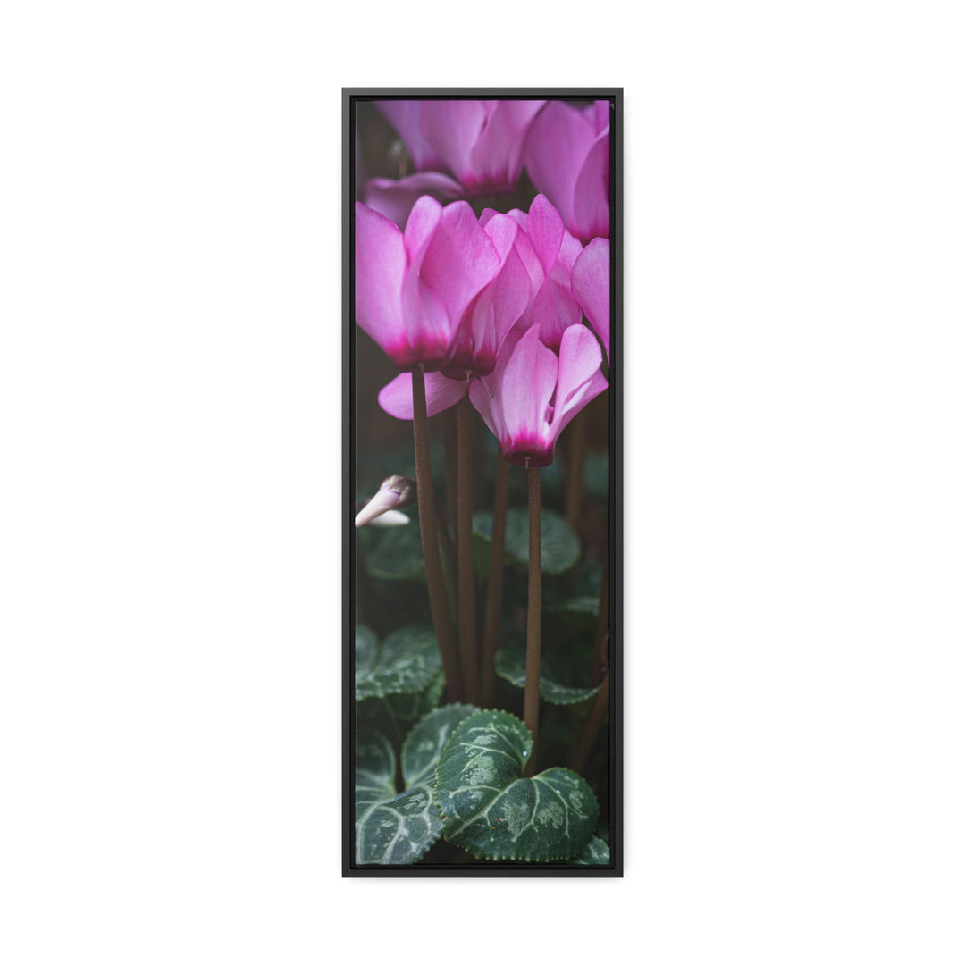 Cyclamen Reach - Canvas with Frame - Visiting This World