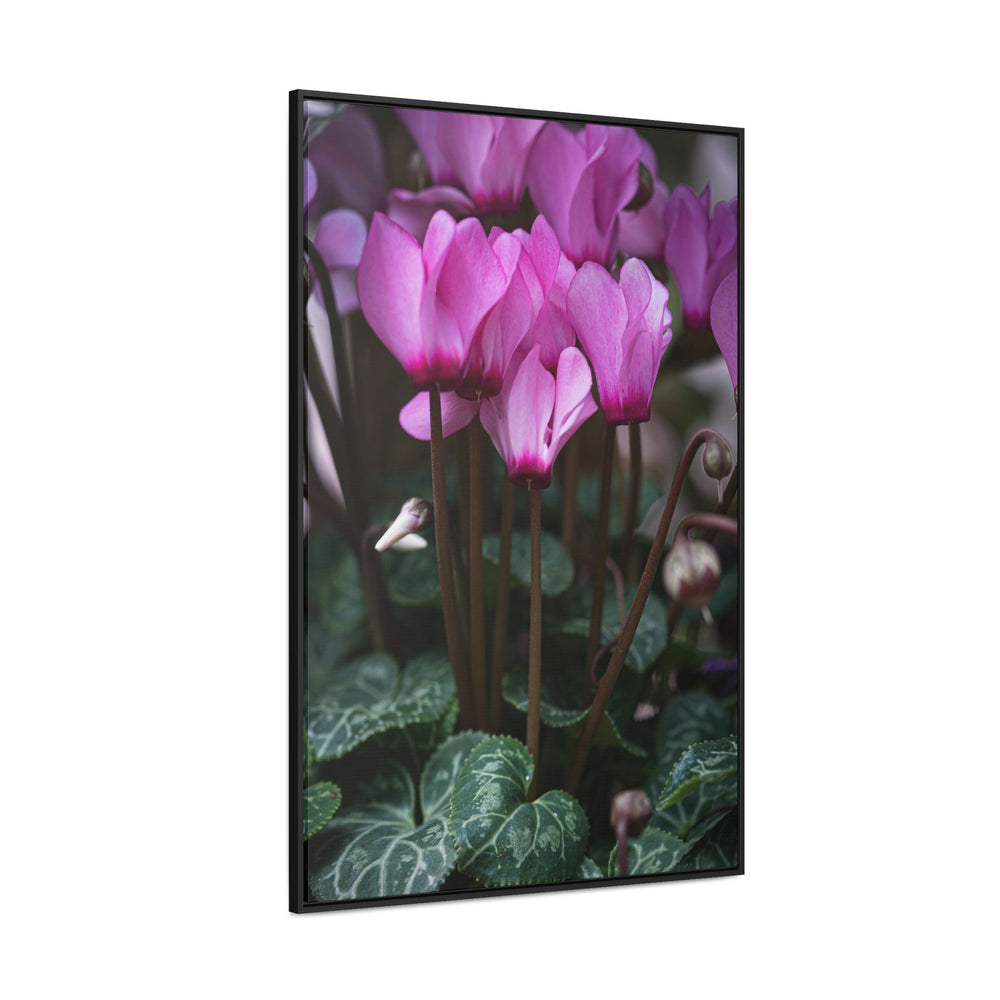 Cyclamen Reach - Canvas with Frame - Visiting This World