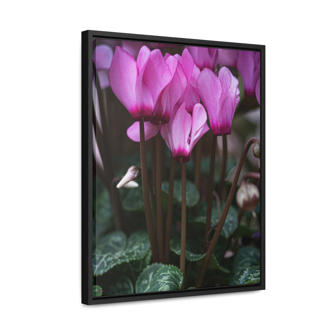 Cyclamen Reach - Canvas with Frame - Visiting This World