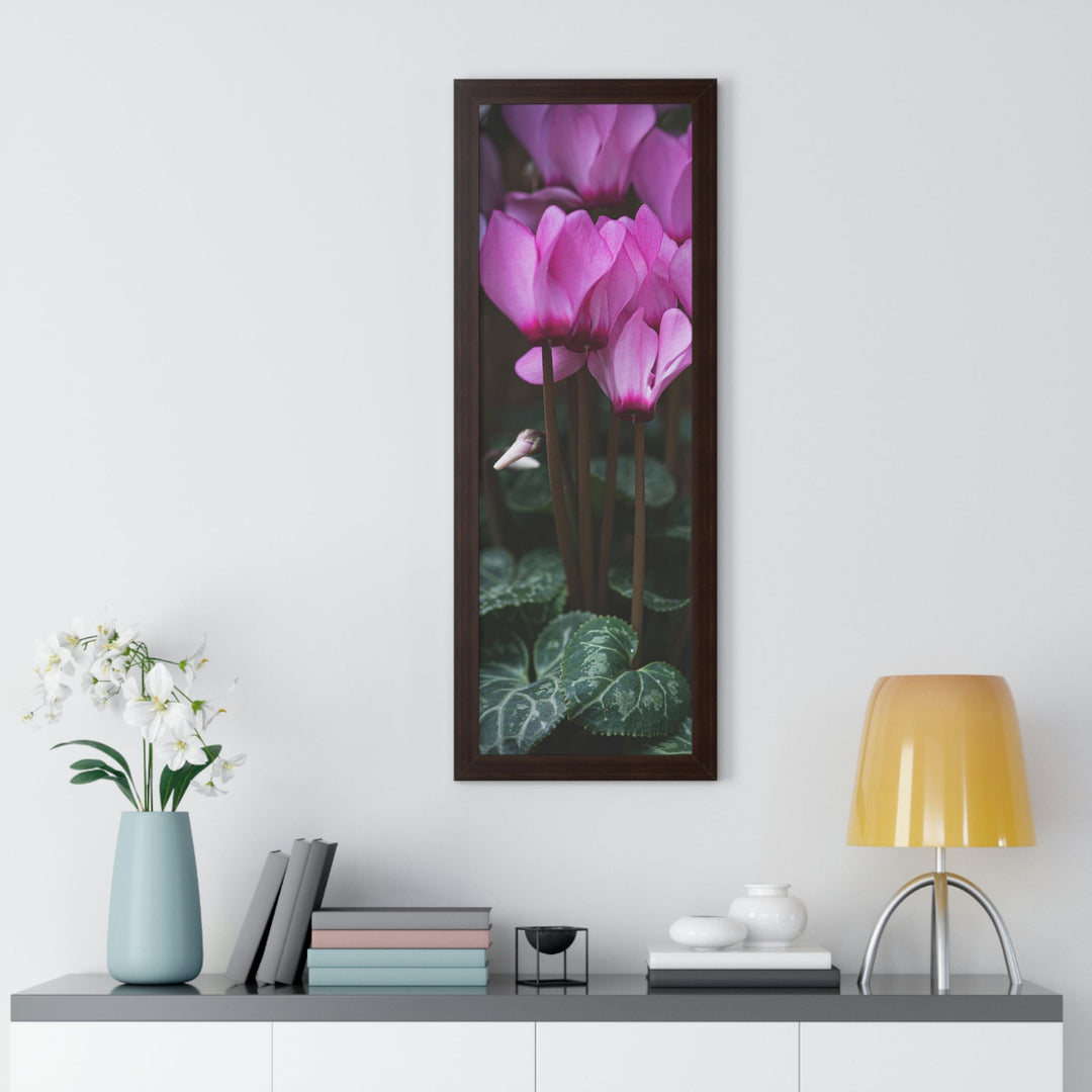 Cyclamen Reach - Framed Print - Visiting This World