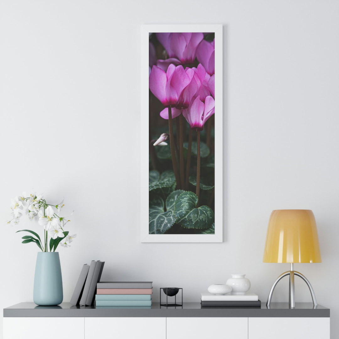 Cyclamen Reach - Framed Print - Visiting This World