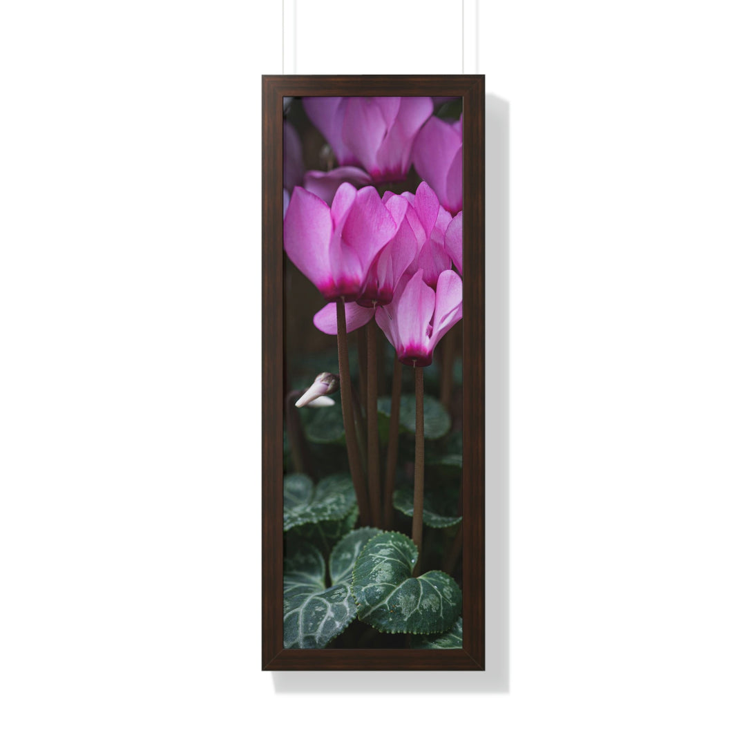 Cyclamen Reach - Framed Print - Visiting This World