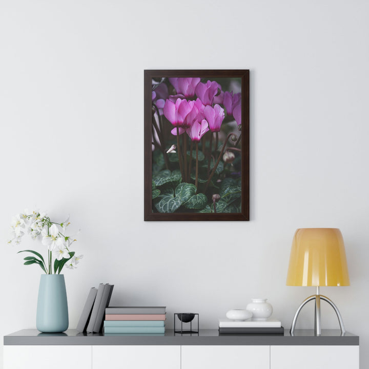 Cyclamen Reach - Framed Print - Visiting This World