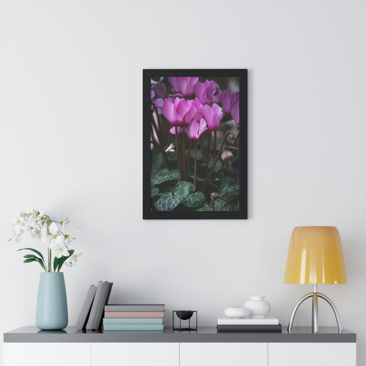 Cyclamen Reach - Framed Print - Visiting This World