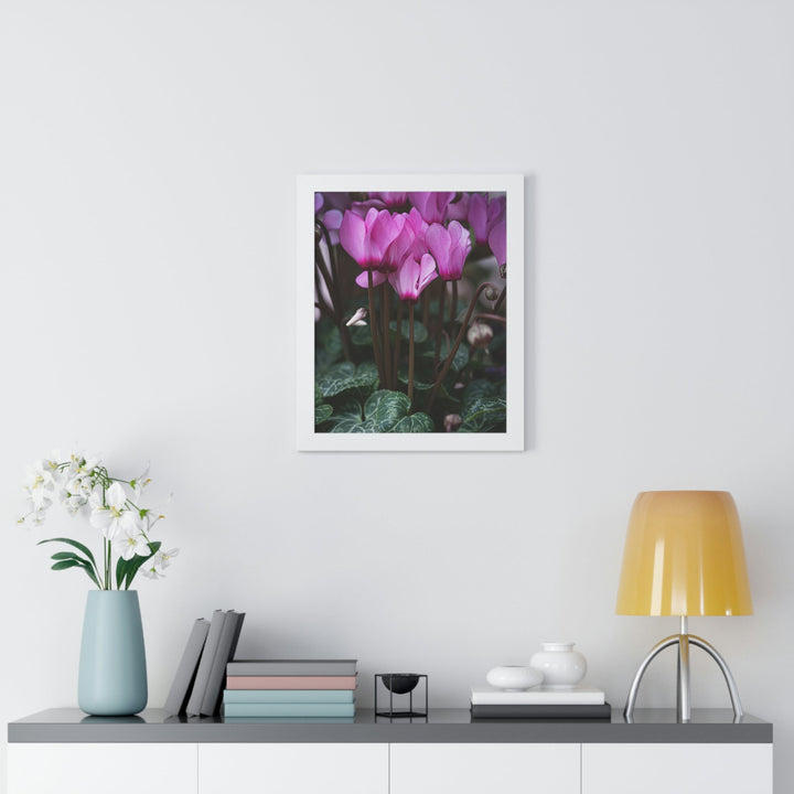 Cyclamen Reach - Framed Print - Visiting This World