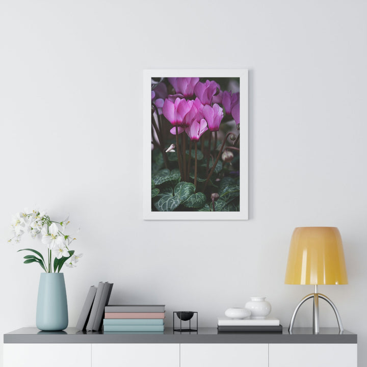 Cyclamen Reach - Framed Print - Visiting This World