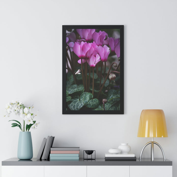 Cyclamen Reach - Framed Print - Visiting This World