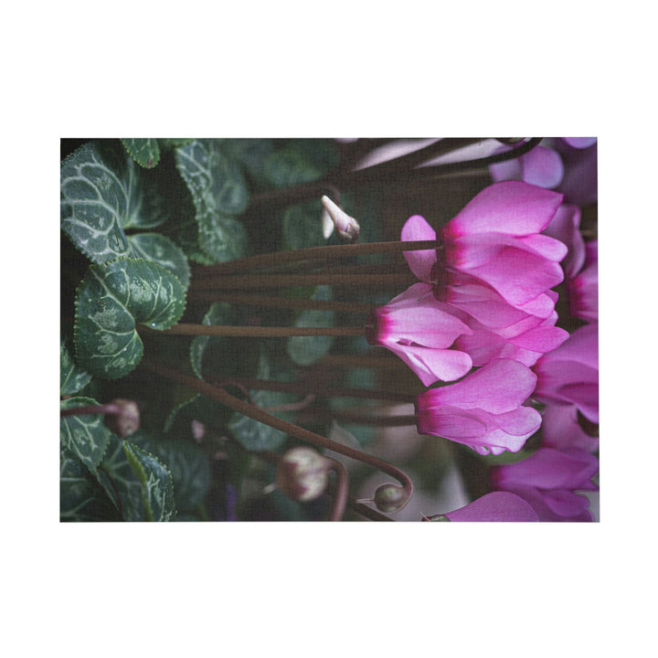 Cyclamen Reach - Nature Puzzle (96, 252, 500, 1000-Piece) - Visiting This World