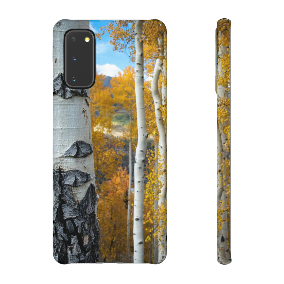 Aspens Changing - Phone Case