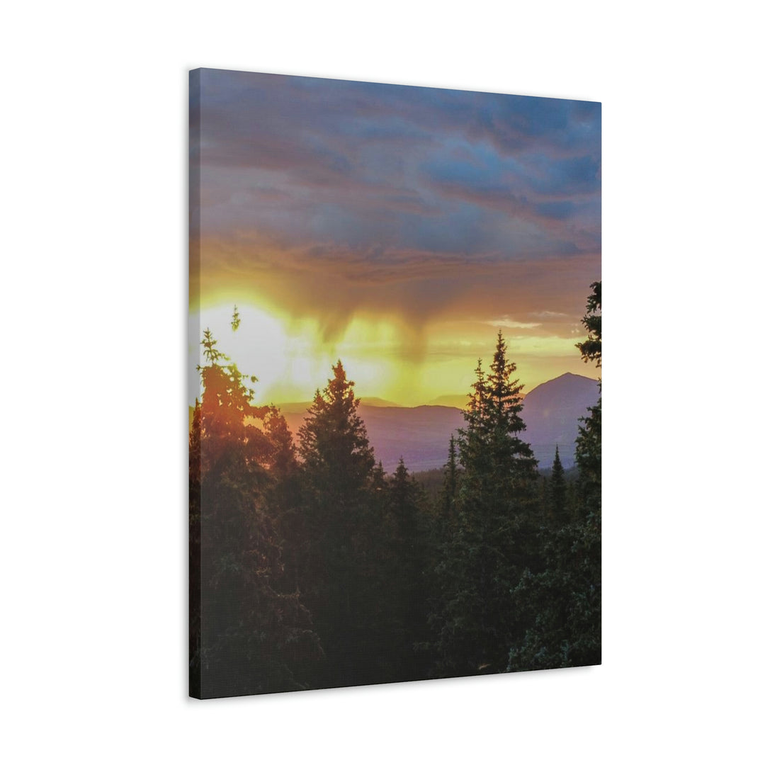 Rainy Sunset Through the Trees - Canvas